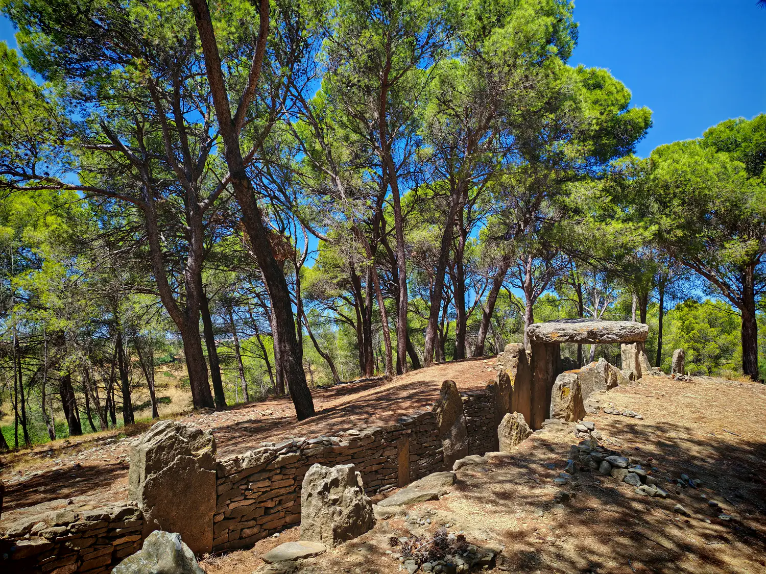 Murets latéraux et grandes dalles du Dolmen des Fées observés depuis son bord accessible.