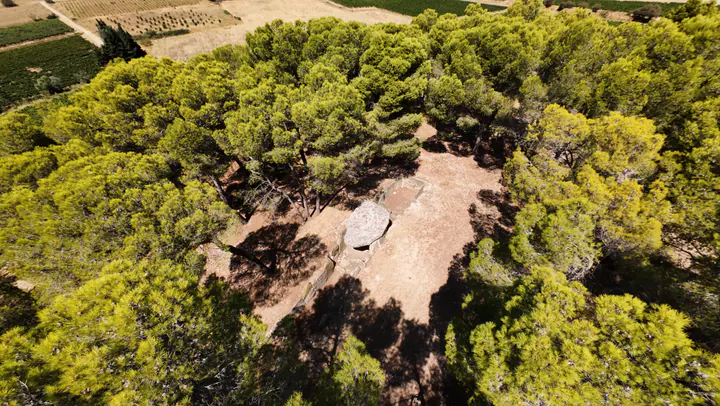 Dolmen des Fées vu presque à la verticale dans une clairière entourée de pins.