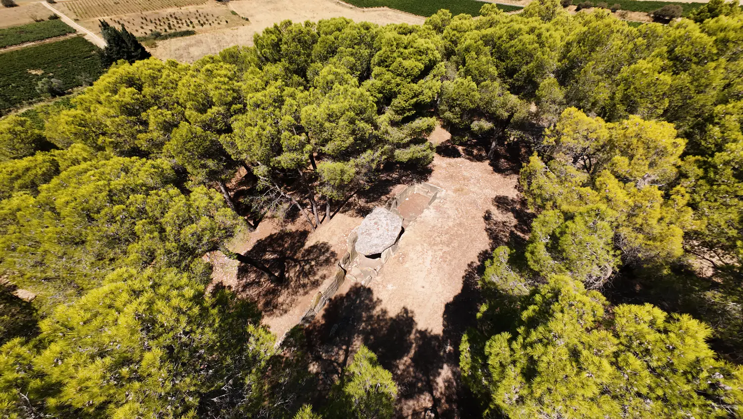 Dolmen des Fées vu presque à la verticale dans une clairière entourée de pins.