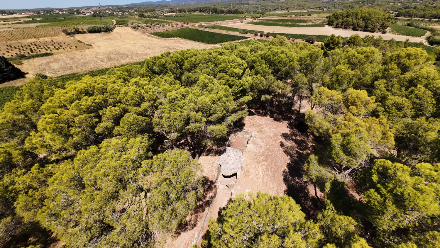 Vue aérienne oblique du Dolmen des Fées, entouré par la pinède et les parcelles du Minervois.