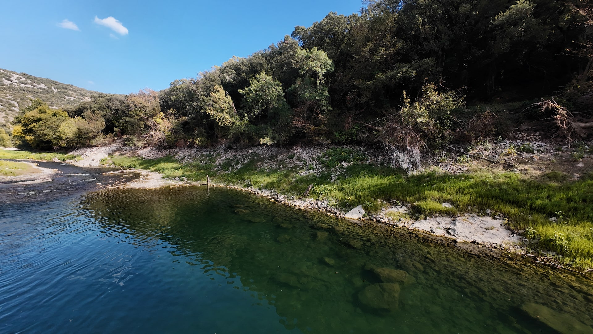 Rive rocheuse de l'Hérault bordée de végétation verte et d'arbres, vue de biais au-dessus de l'eau.