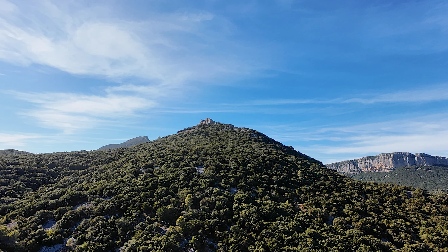 Ruines de Montferrand au sommet d’un versant boisé, sous un ciel bleu strié de nuages, avec la falaise de l’Hortus à droite.