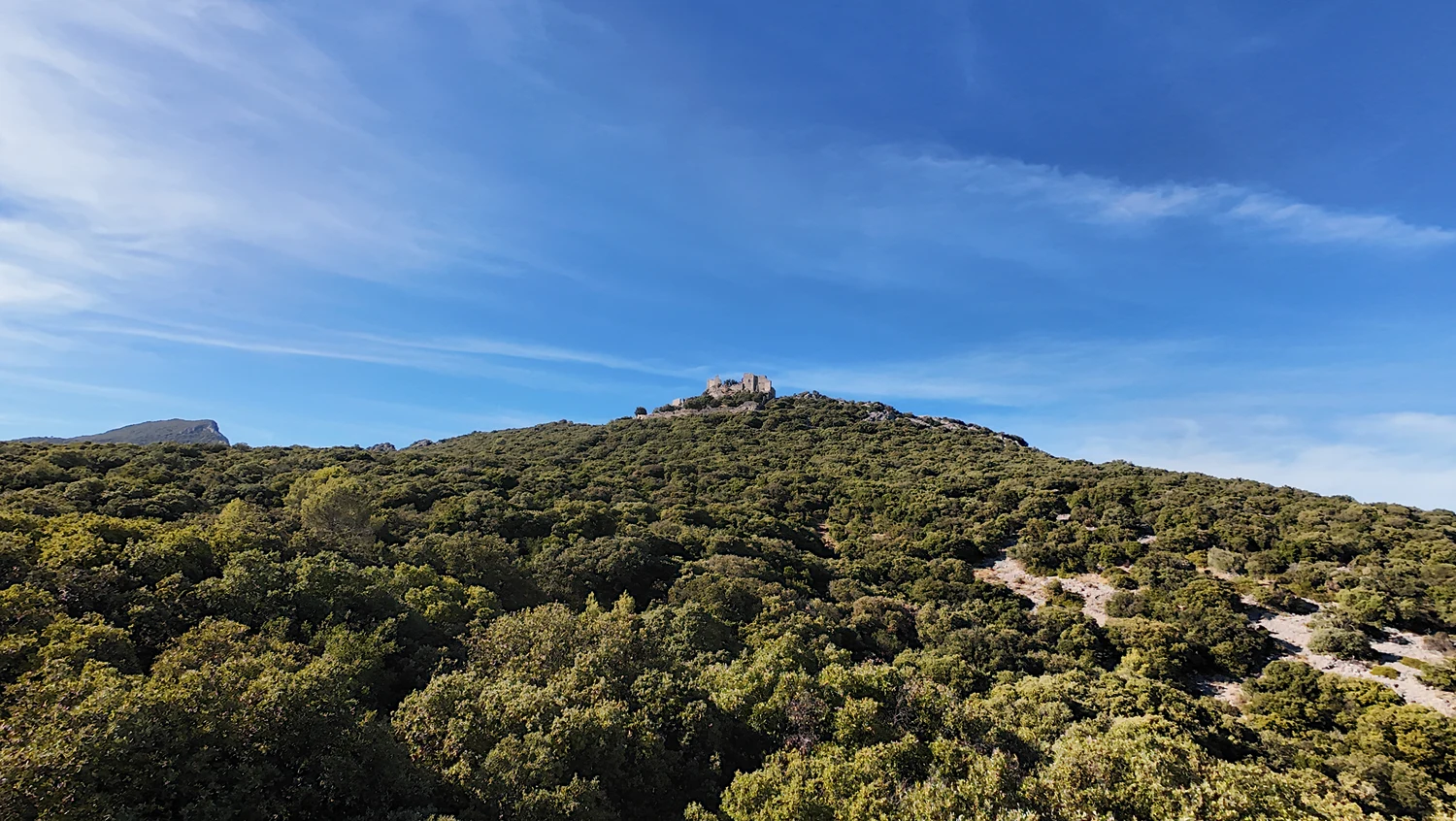 Silhouette de Montferrand au-dessus d’une pente couverte d’arbres, avec des affleurements clairs au premier plan.