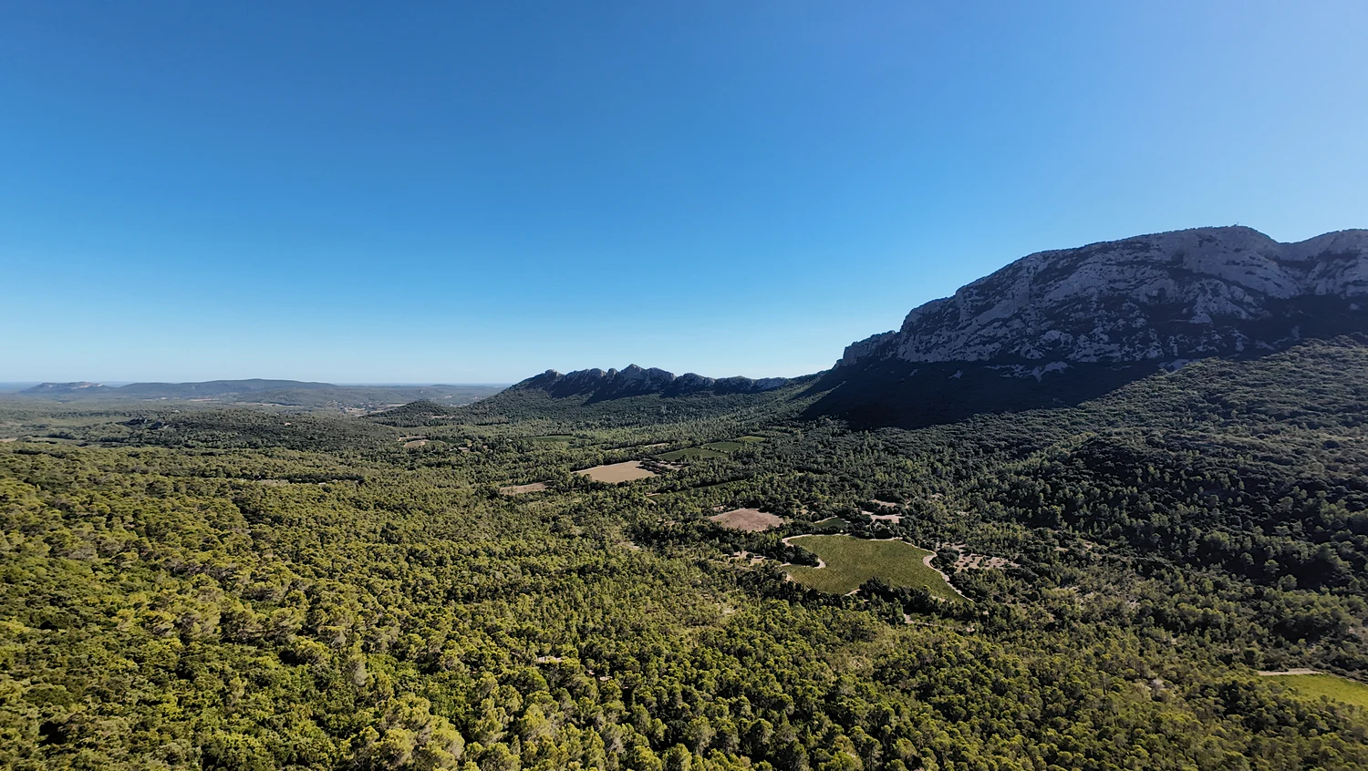 Vallée boisée et parcelles ouvertes au pied des falaises du Pic Saint-Loup, avec la crête de Montferrand dans le lointain.