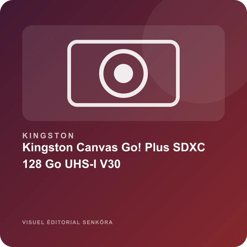 Illustration éditoriale du produit Kingston Canvas Go! Plus SDXC 128 Go UHS-I V30