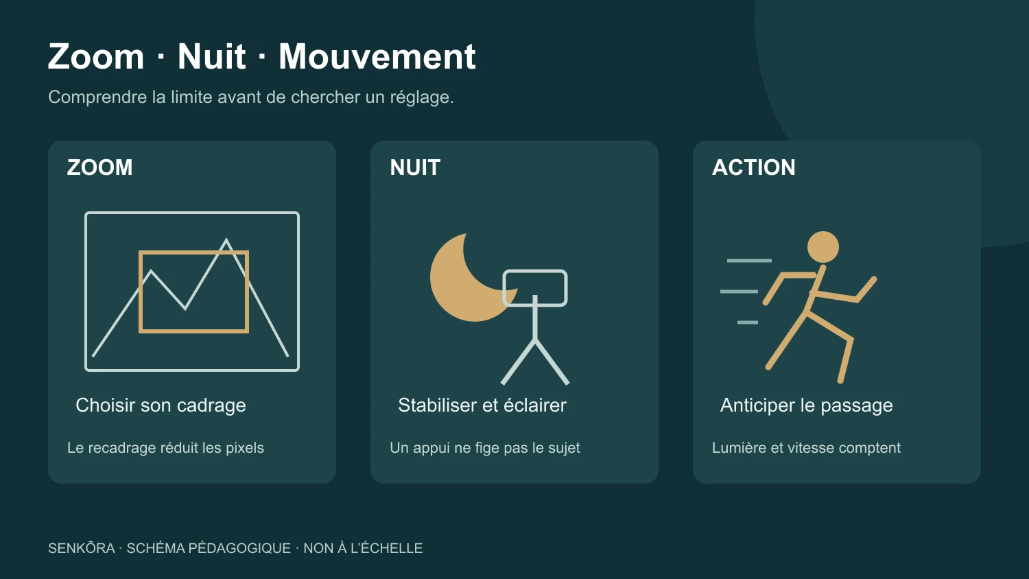 Schéma pédagogique : cadrage au zoom, stabilité de nuit et anticipation d’un sujet en mouvement.